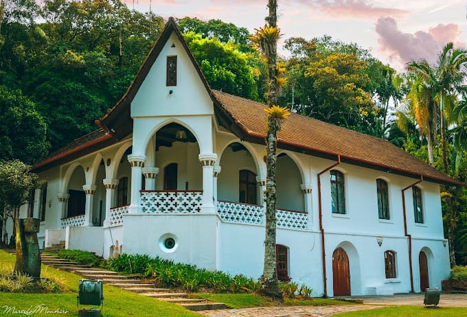 Museu de Arte de Joinville