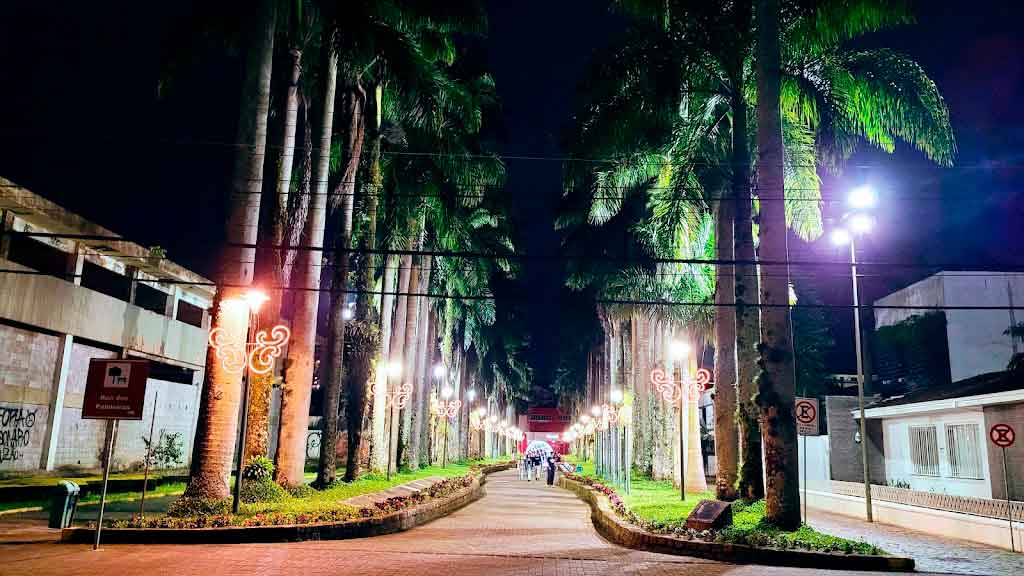 Rua das palmeiras Joinville